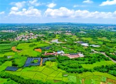 竹韵出海渔香远播：案例汇编里的麻章开放故事