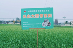 乡合农服土壤改良：给土地“治病”，让丰收“生根”