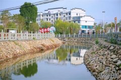 从“负债村”到“富裕村”：黄铺村“村社一体、村企共建”的乡村振兴实践